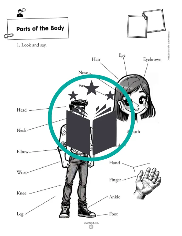 Inglés - G2 - Body Parts